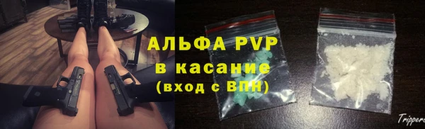 сатива Балахна