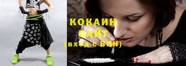 сатива Балахна