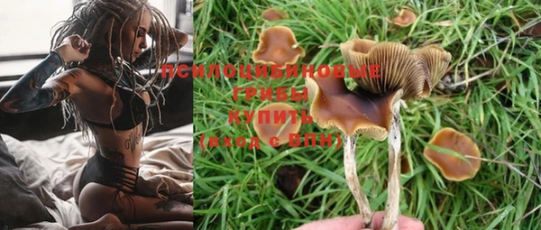 сатива Балахна