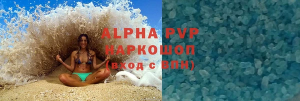 сатива Балахна