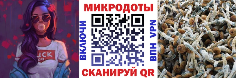 Псилоцибиновые грибы GOLDEN TEACHER  кракен tor  Губкинский 
